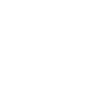 delizioso-logo